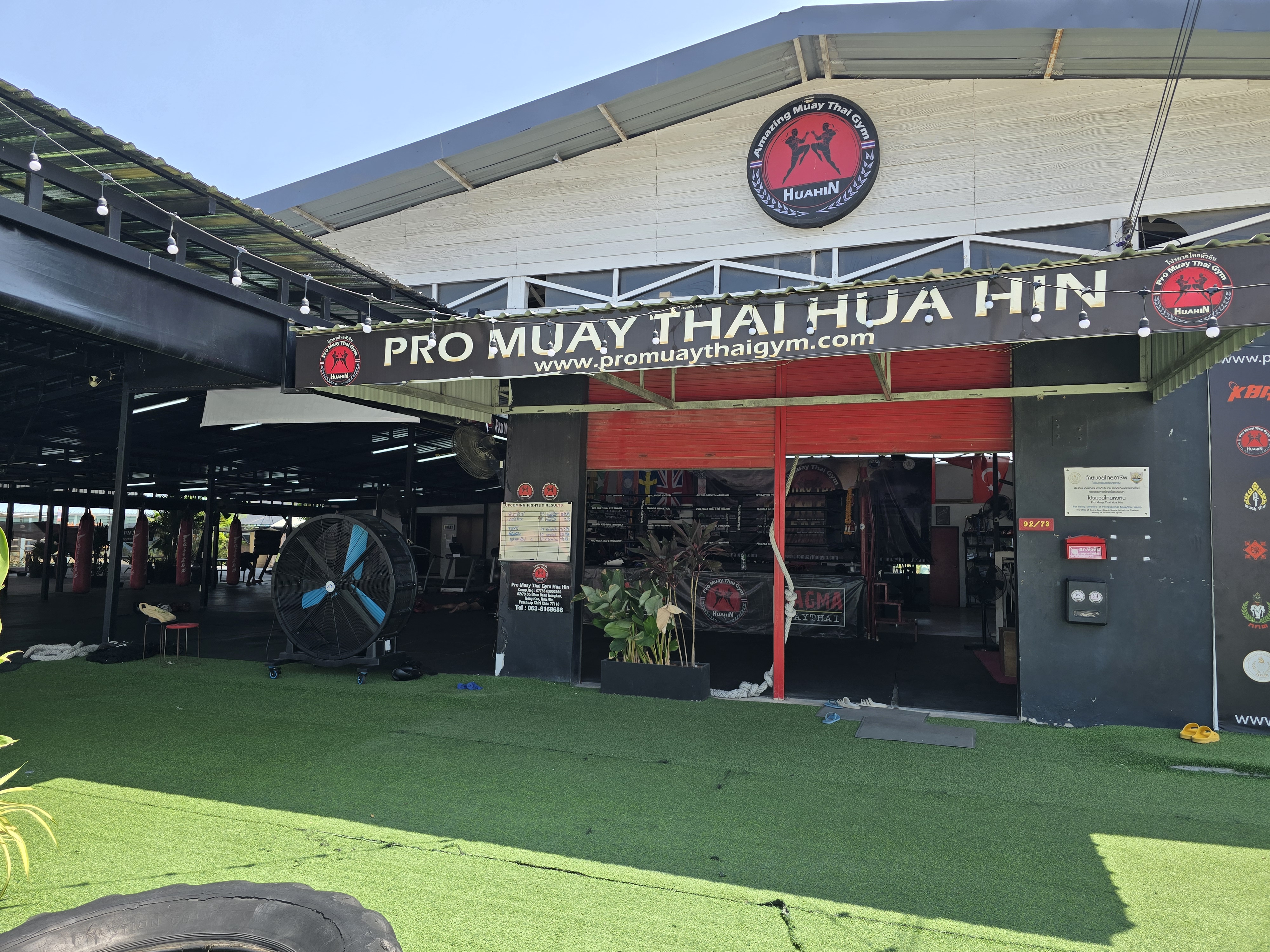 Pro Muay Thai