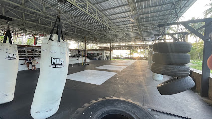 Martial Arts Academy